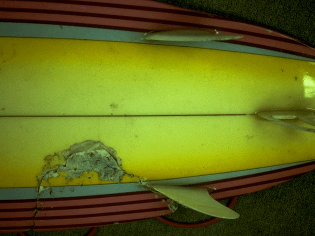 A white bites surfboard off So. Africa