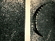 Cookiecutter bite marks on sonar dome