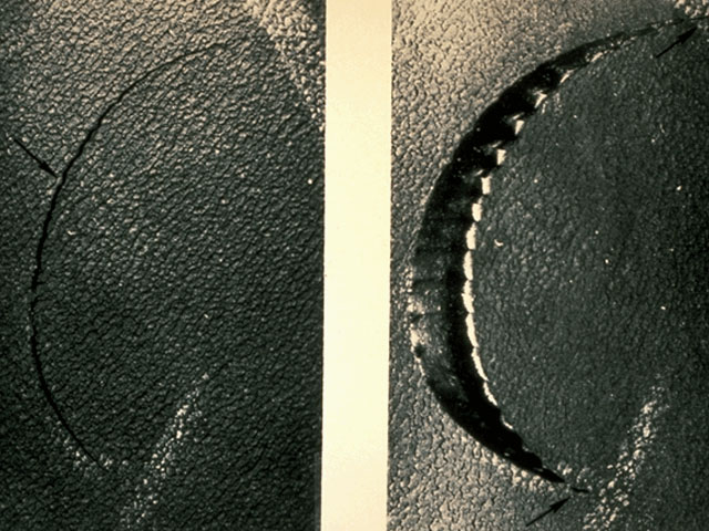 Cookiecutter bite marks on sonar dome