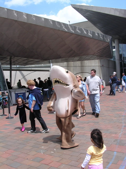 The New England Aquarium (Boston, MA) - Sharks are friends!